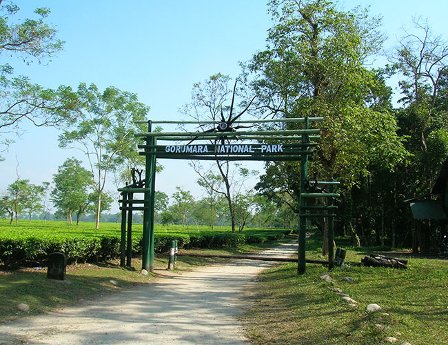 Gorumara National Park